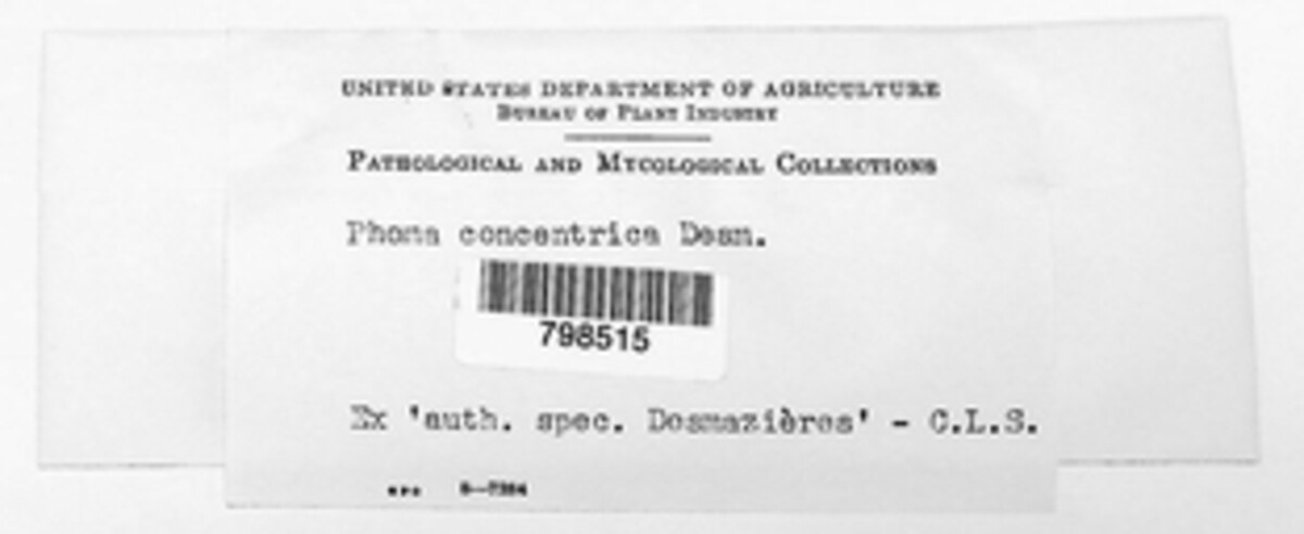 Coniothyrium concentricum image